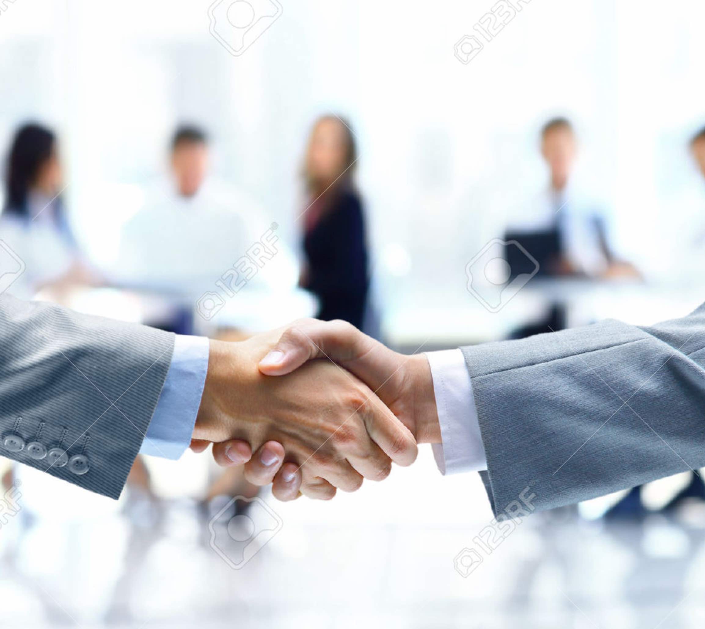 Our Team